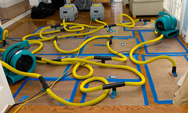Professional Flood Damage Restoration technician working in Taylorsville, IN